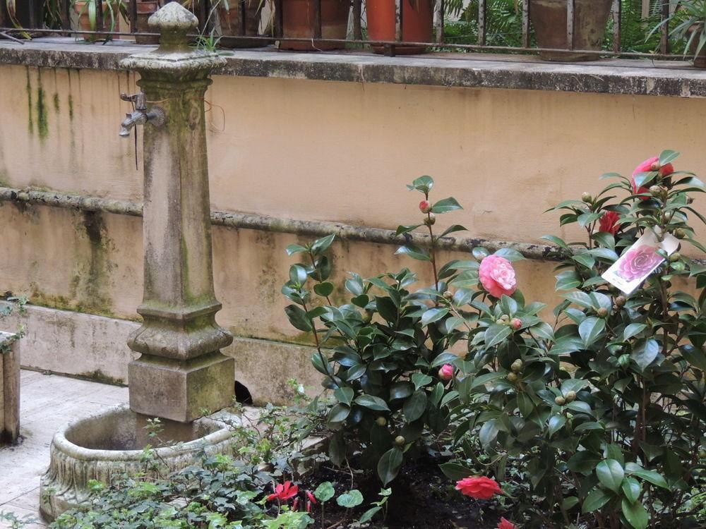 Morelli Bed & Breakfast Rome Exterior photo